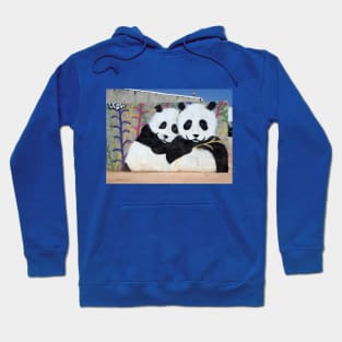 Cute Pandas Hoodie